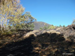 nti Sartorius-01-11-2012 09-47-54